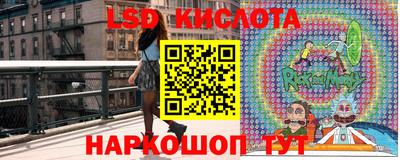 PSILOCYBIN Краснодар